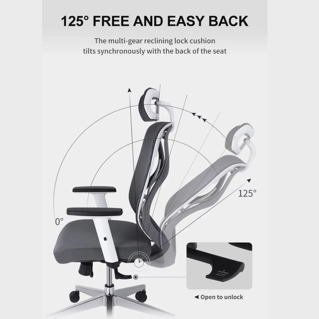 Palarial Regalix Zenora High Back Executive Ergonomic Chair for Office Mesh Office Adjustable Arm Chair  (White, DIY)